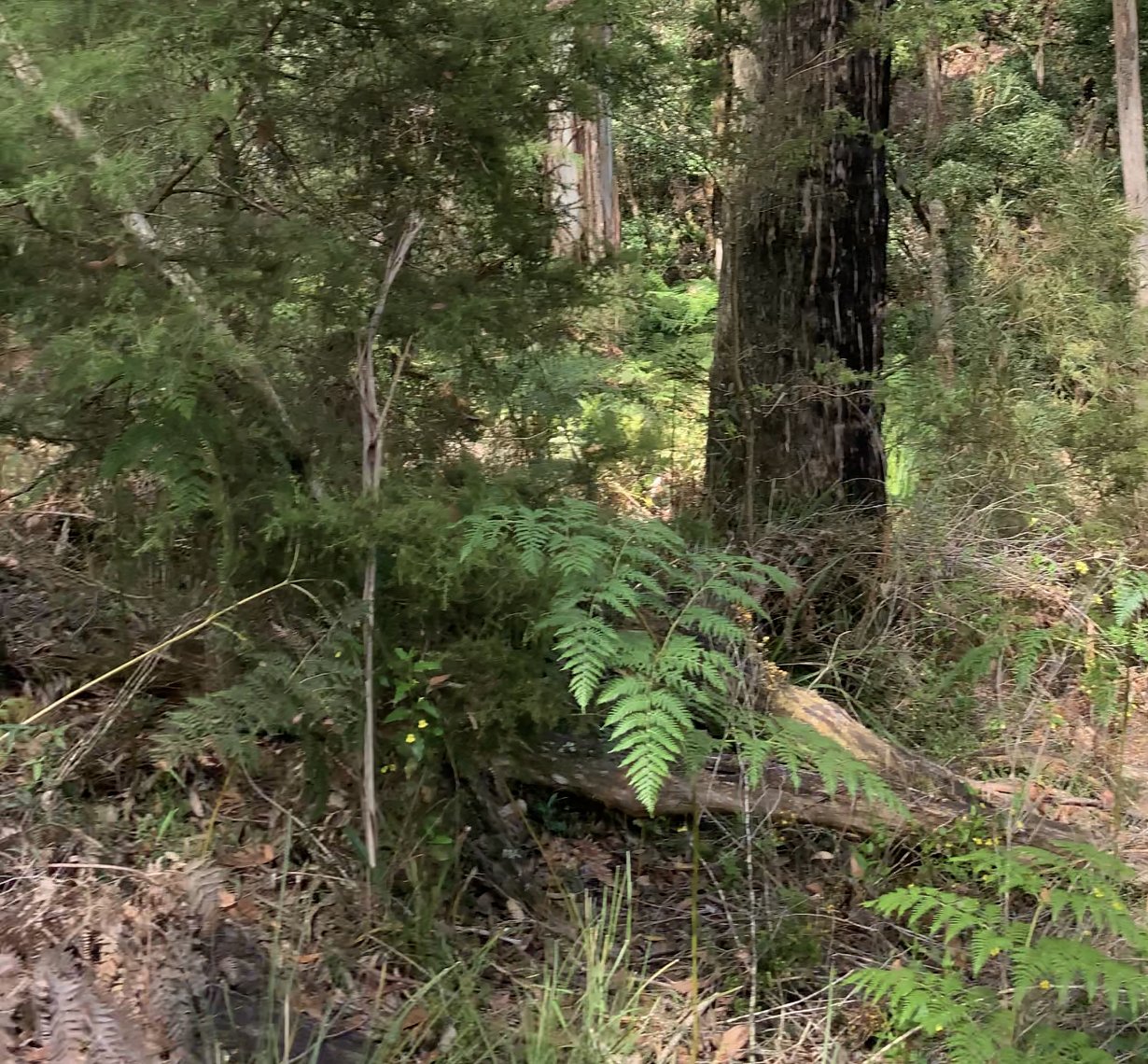 Habitat1